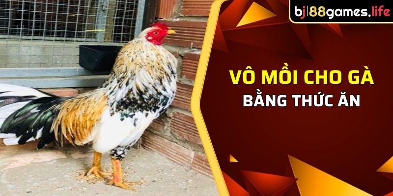 Cách vô mồi cho gà chuẩn bằng thức ăn