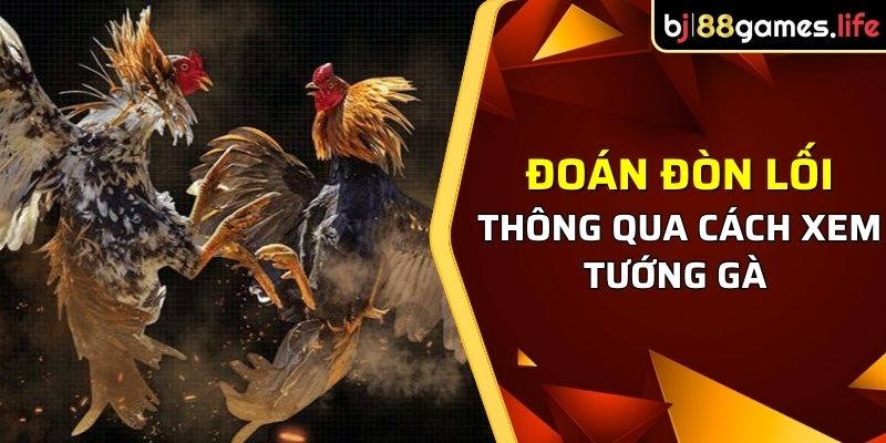 Đoán đòn lối chuẩn thông qua cách xem tướng gà chọi