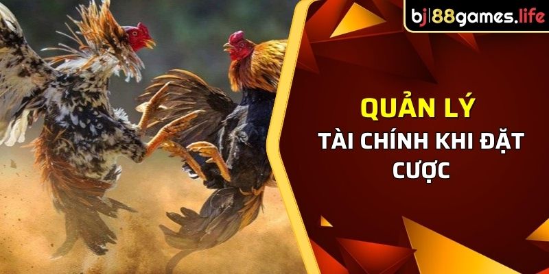 Quản lý tài chính khi đặt cược