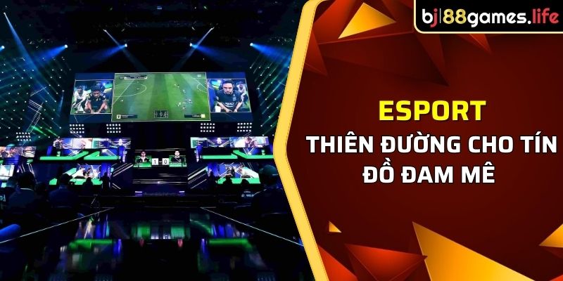 BJ88 là thiên đường cho những tín đồ đam mê cá cược Esport đỉnh cao